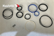 Набор уплотнений (4001244860) - lift-part.ru - Екатеринбург