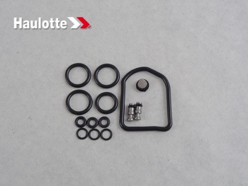 Комплект уплотнений (2421611240) - lift-part.ru - Екатеринбург