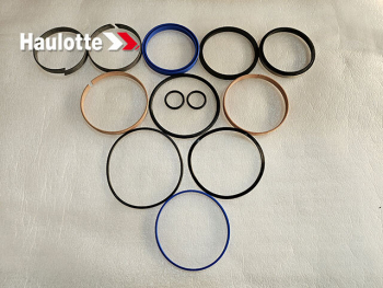 Набор уплотнений (2504001050) - lift-part.ru - Екатеринбург