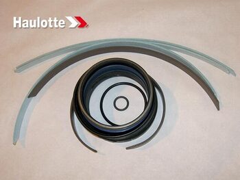 Комплект уплотнений (2505005380) - lift-part.ru - Екатеринбург