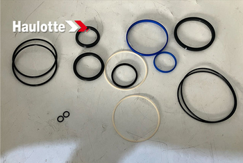 Набор уплотнений (4001244860) - lift-part.ru - Екатеринбург